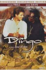 Watch Dingo Movie4k