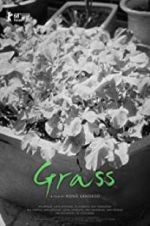 Watch Grass Movie4k