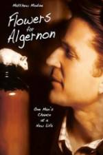 Watch Flowers for Algernon Movie4k