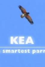 Watch Kea - The Smartest Parrot Movie4k