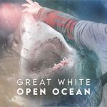 Watch Great White Open Ocean Movie4k