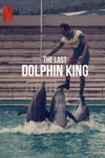 Watch The Last Dolphin King Movie4k