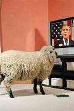 Watch Educating The Sheeple Movie4k