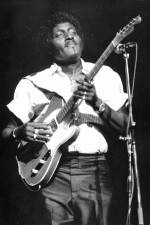 Watch Albert Collins in Concert Movie4k