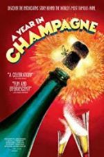 Watch A Year in Champagne Movie4k