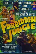 Watch Forbidden Jungle Movie4k