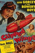 Watch Clipped Wings Movie4k