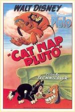 Watch Cat Nap Pluto Movie4k