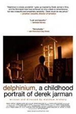 Watch Delphinium: A Childhood Portrait of Derek Jarman Movie4k