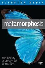 Watch Metamorphosis: The Beauty and Design of Butterflies Movie4k