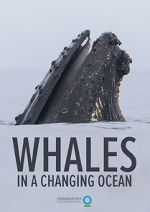 Watch Whales in a Changing Ocean (Short 2021) Movie4k