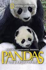 Watch Pandas: The Journey Home Movie4k