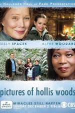 Watch Pictures of Hollis Woods Movie4k