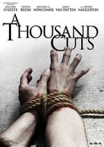 Watch A Thousand Cuts Movie4k