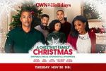Watch A Chestnut Family Christmas Movie4k