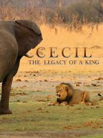 Watch Cecil: The Legacy of a King Movie4k