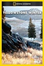 Watch National Geographic Yellowstone Winter Movie4k