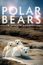 Watch Polar Bears: A Summer Odyssey Movie4k