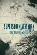 Watch Superstorm New York: What Really Happened Movie4k