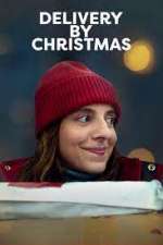 Watch Delivery by Christmas Movie4k