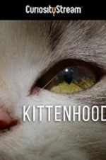 Watch Kittenhood Movie4k