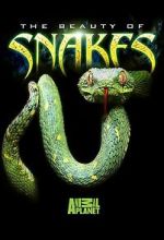 Watch Beauty of Snakes Movie4k