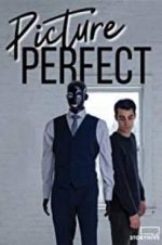 Watch Picture Perfect Movie4k