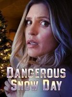 Watch Dangerous Snow Day Movie4k