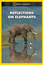 Watch Reflections on Elephants Movie4k