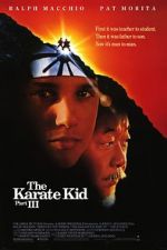 Watch The Karate Kid Part III Movie4k