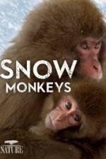 Watch Nature: Snow Monkeys Movie4k