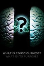 Watch What Is Consciousness? What Is Its Purpose? Movie4k