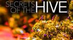 Watch Secrets of the Hive Movie4k