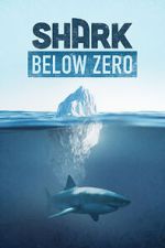 Watch Shark Below Zero Movie4k