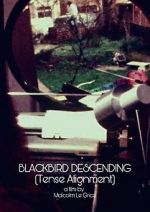 Watch Blackbird Descending Movie4k