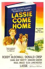 Watch Lassie Come Home Movie4k