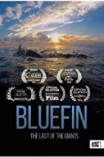 Watch Bluefin Movie4k