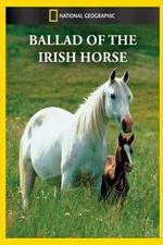 Watch Ballad of the Irish Horse Movie4k