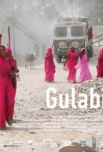 Watch Gulabi Gang Movie4k