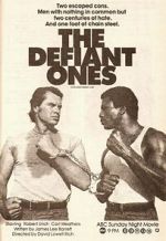Watch The Defiant Ones Movie4k