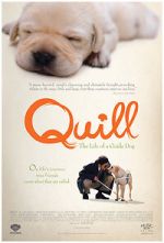 Watch Quill: The Life of a Guide Dog Movie4k