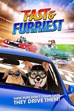 Watch Fast and Furriest Movie4k