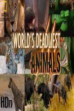 Watch National Geographic - Worlds Deadliest Animal Battles Movie4k