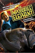 Watch The Incredible Elephant Movie4k