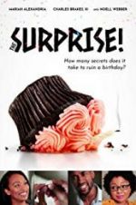 Watch The Surprise! Movie4k