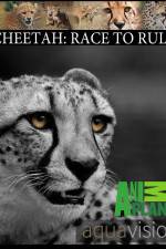 Watch Cheetah: Race to Rule Movie4k