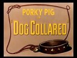 Watch Dog Collared (Short 1950) Movie4k