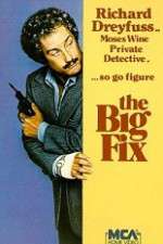 Watch The Big Fix Movie4k