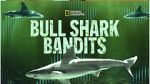 Watch Bull Shark Bandits Movie4k