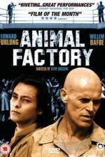 Watch Animal Factory Movie4k